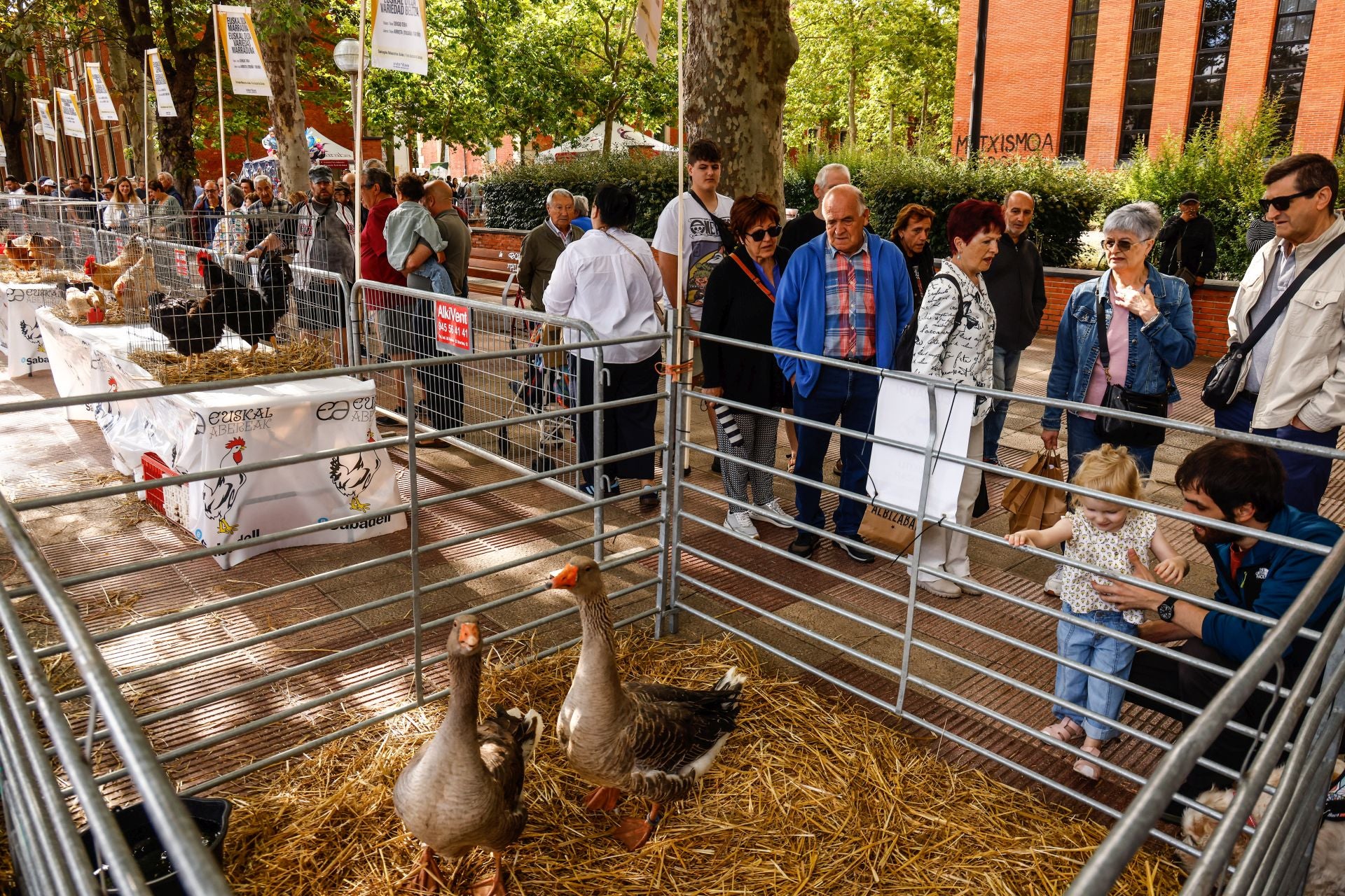 El Día del Blusa y la Neska, en imágenes