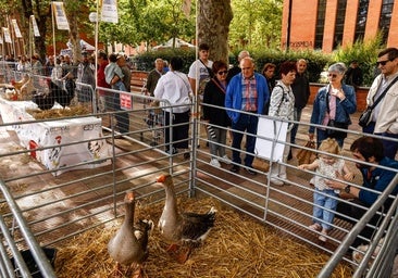 La feria cosecha en el campus nuevos agricultores para Álava