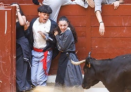 Una vaquilla se acerca a unos asustados jóvenes.