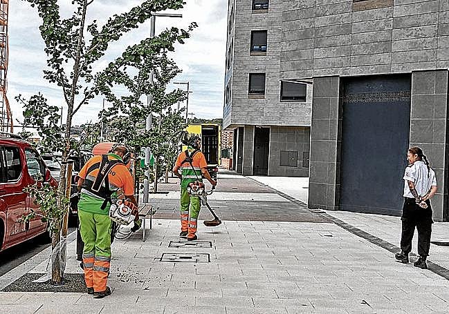 La vigilante Guruzne mira trabajar a los servicios de limpieza en la Avenida Galleteras.