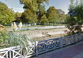 Los residentes creen que la maleza crecida en el cauce del Gobela ha favorecido la expansión de roedores por el barrio.