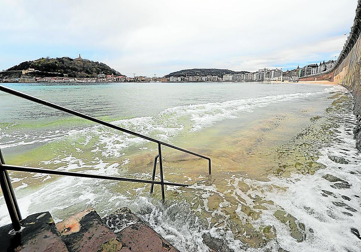 La bahía de La Concha tiene un ascenso en la temperatura superficial del mar de 0,28 grados por década, medición realizada junto al Aquarium.