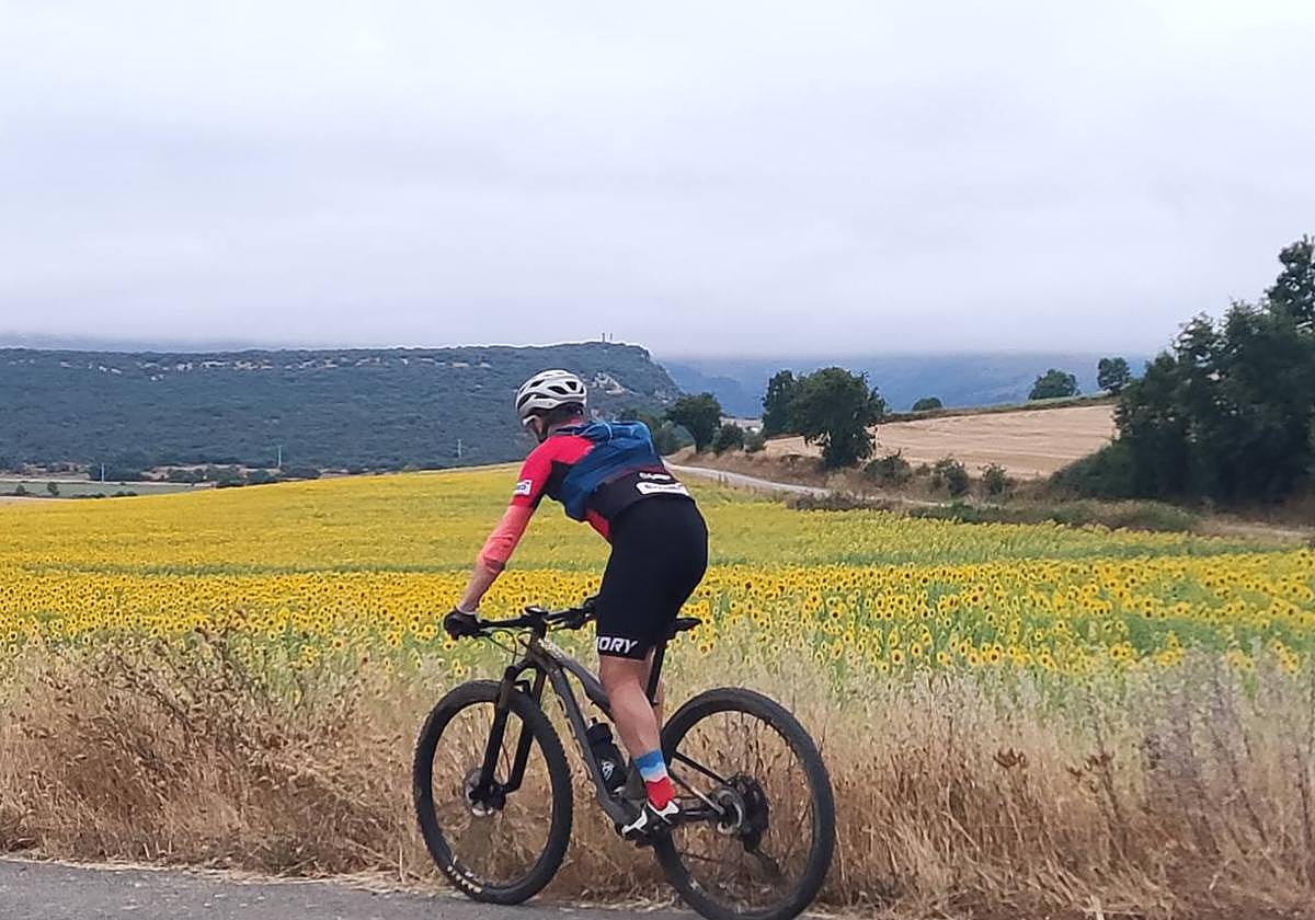 Un ciclista pedalea entre campos de girasoles muy cerca de Villamartín de Sotoscueva.