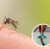 Una influencer bilbaína comparte el mejor antimosquitos casero para el verano: «Económico y fácil de hacer»