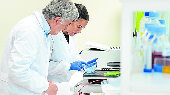 250 pacientes se incorporan al ensayo de un fármaco vasco contra el cáncer de páncreas
