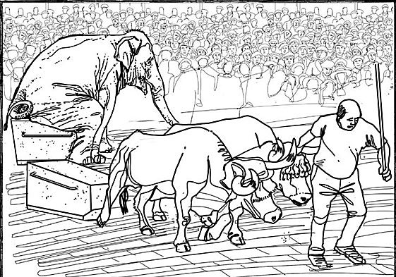 El desafío de los bueyes y Mary la elefanta