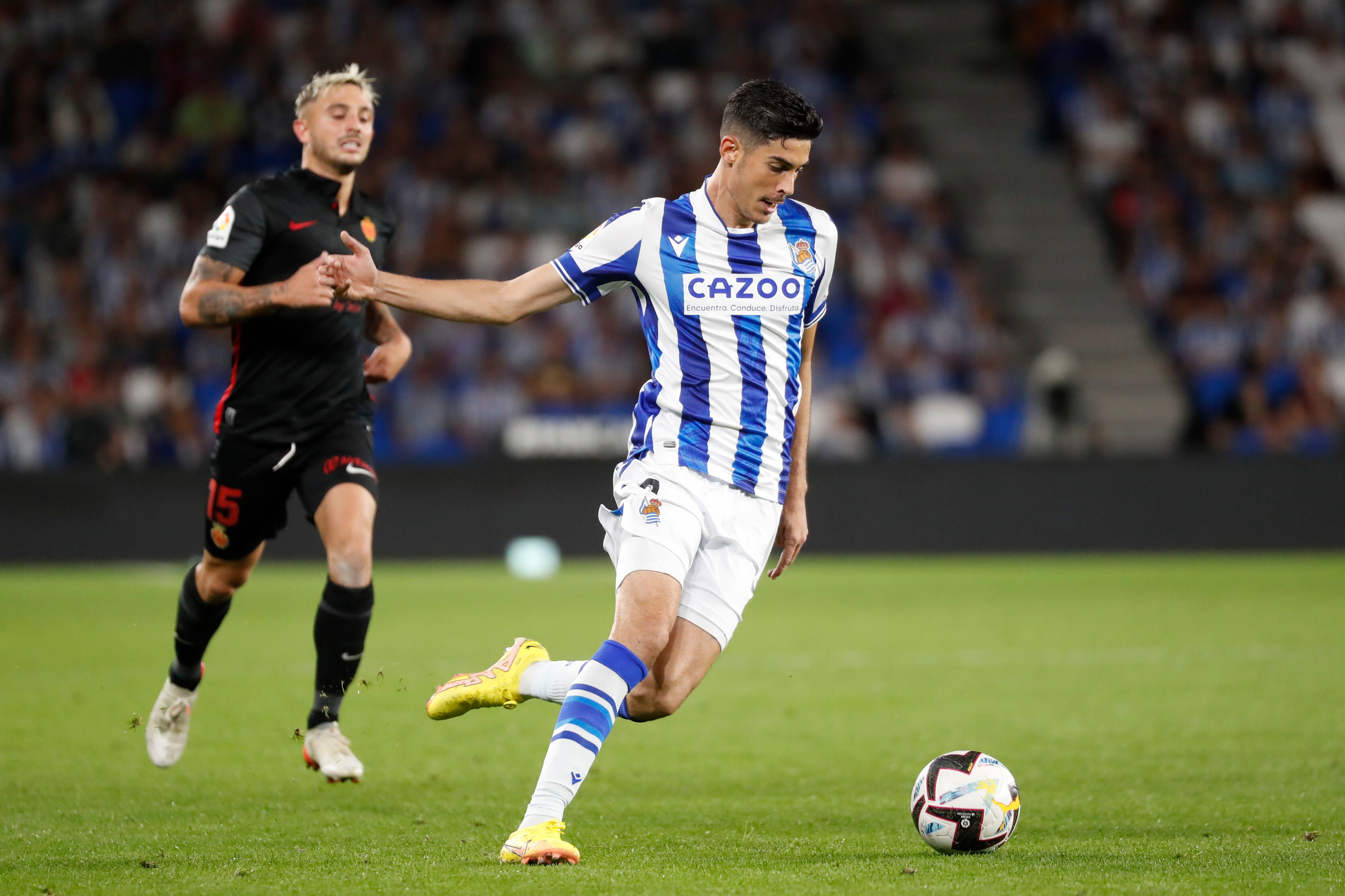 Creen que sería una gran incorporación tanto dentro como fuera del césped.