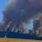 Nuevo incendio en Tarifa, en Sierra de la Plata