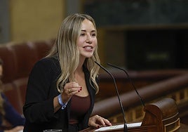 La exdiputada del PP, Noelia Nuñez.