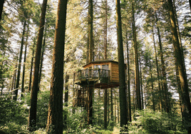 Alojamientos de lo más peculiares y cercanos