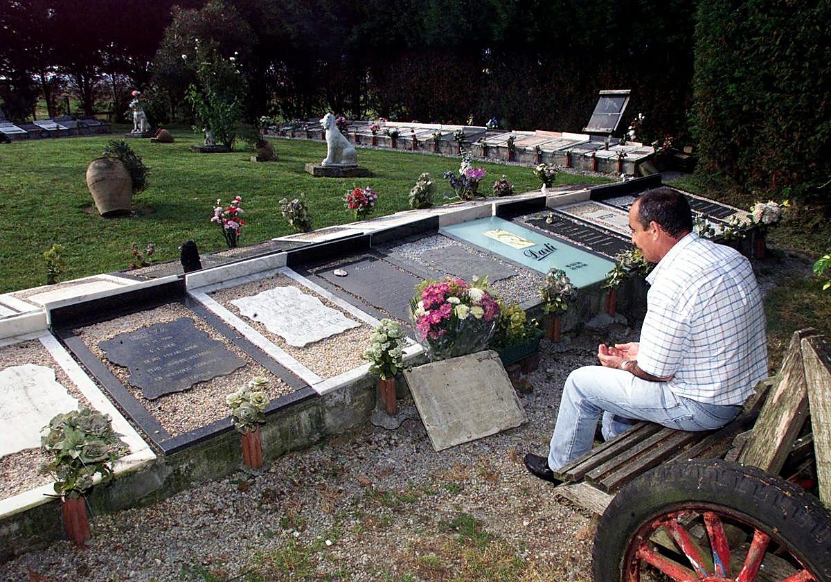 El proyecto prevé 955 huecos para que reposen los cuerpos de los animales.