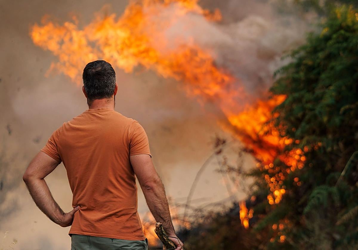 El fuego avanza: causas, cifras y lecciones de una crisis global