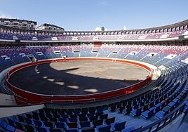 Un novillero con ángel