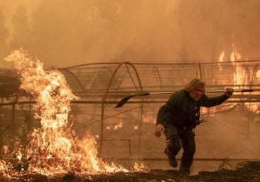 España recibe «la mayor ayuda internacional de su historia» para combatir los incendios