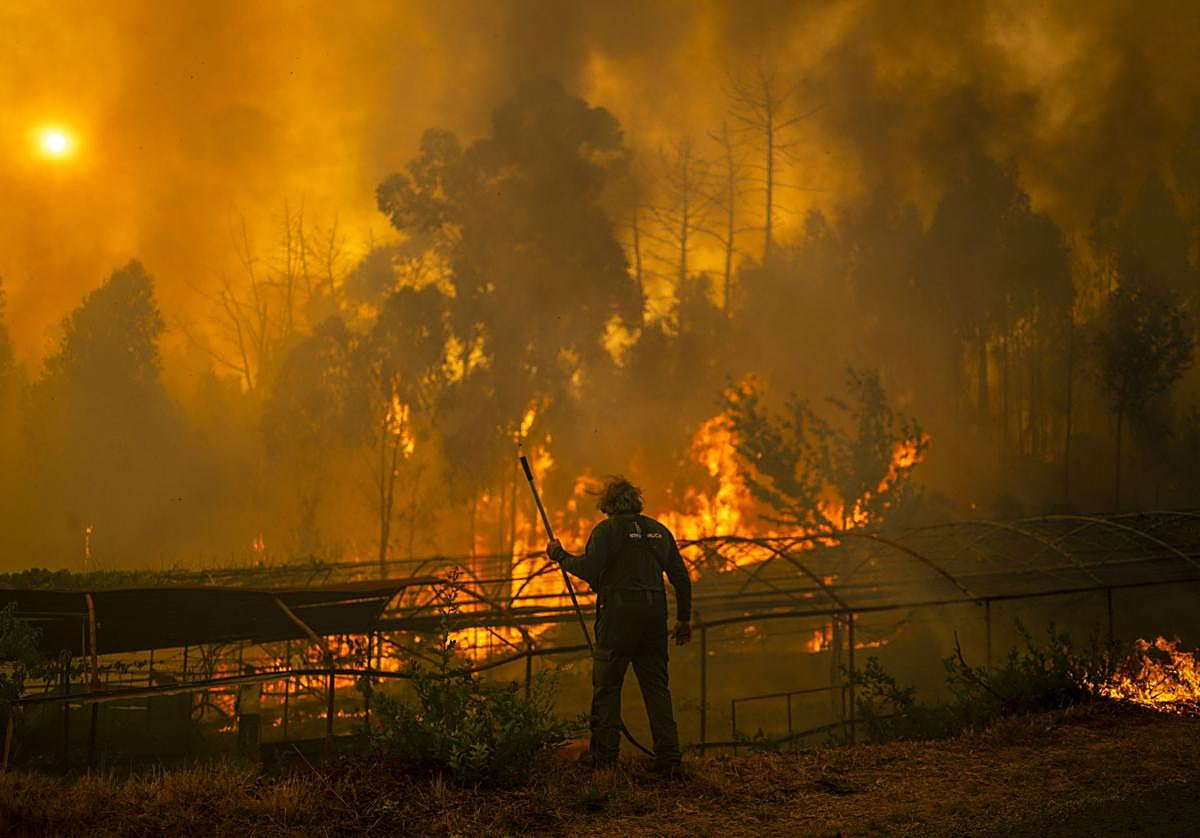 Un guarda forestal trabaja en labores de extinción del incendio forestal de Carballeda de Avia (Ourense).