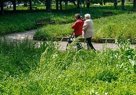 Los jardineros de Vitoria en huelga tachan de «irresponsable» al Ayuntamiento