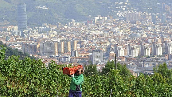 Ruta por la Bizkaia de los viñedos