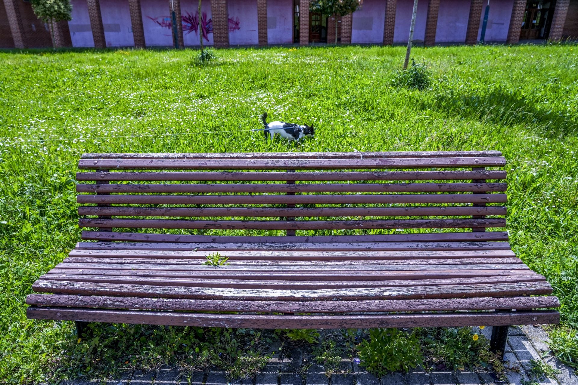 El mal estado de los bancos de Vitoria