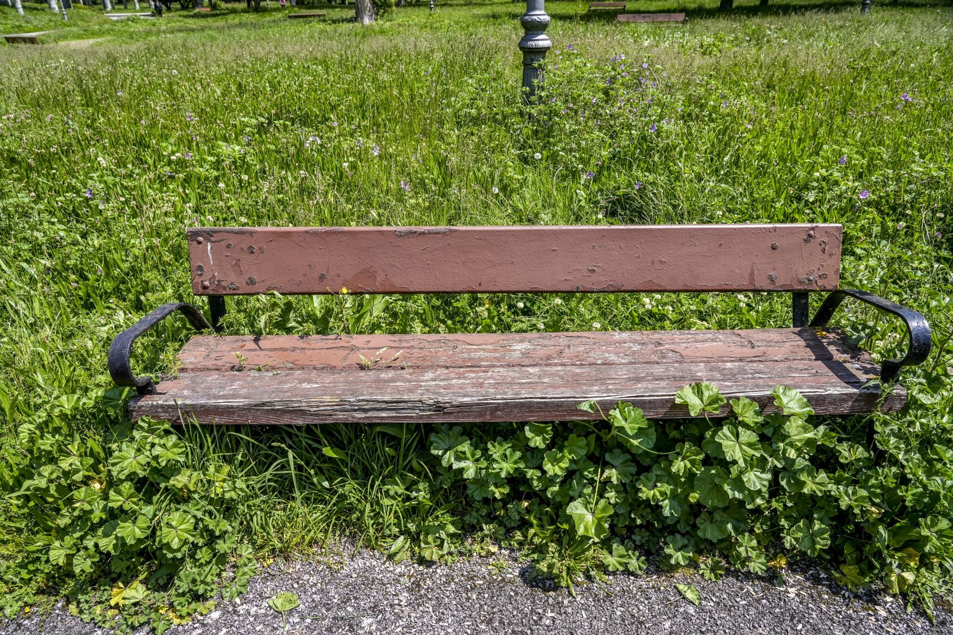 El mal estado de los bancos de Vitoria