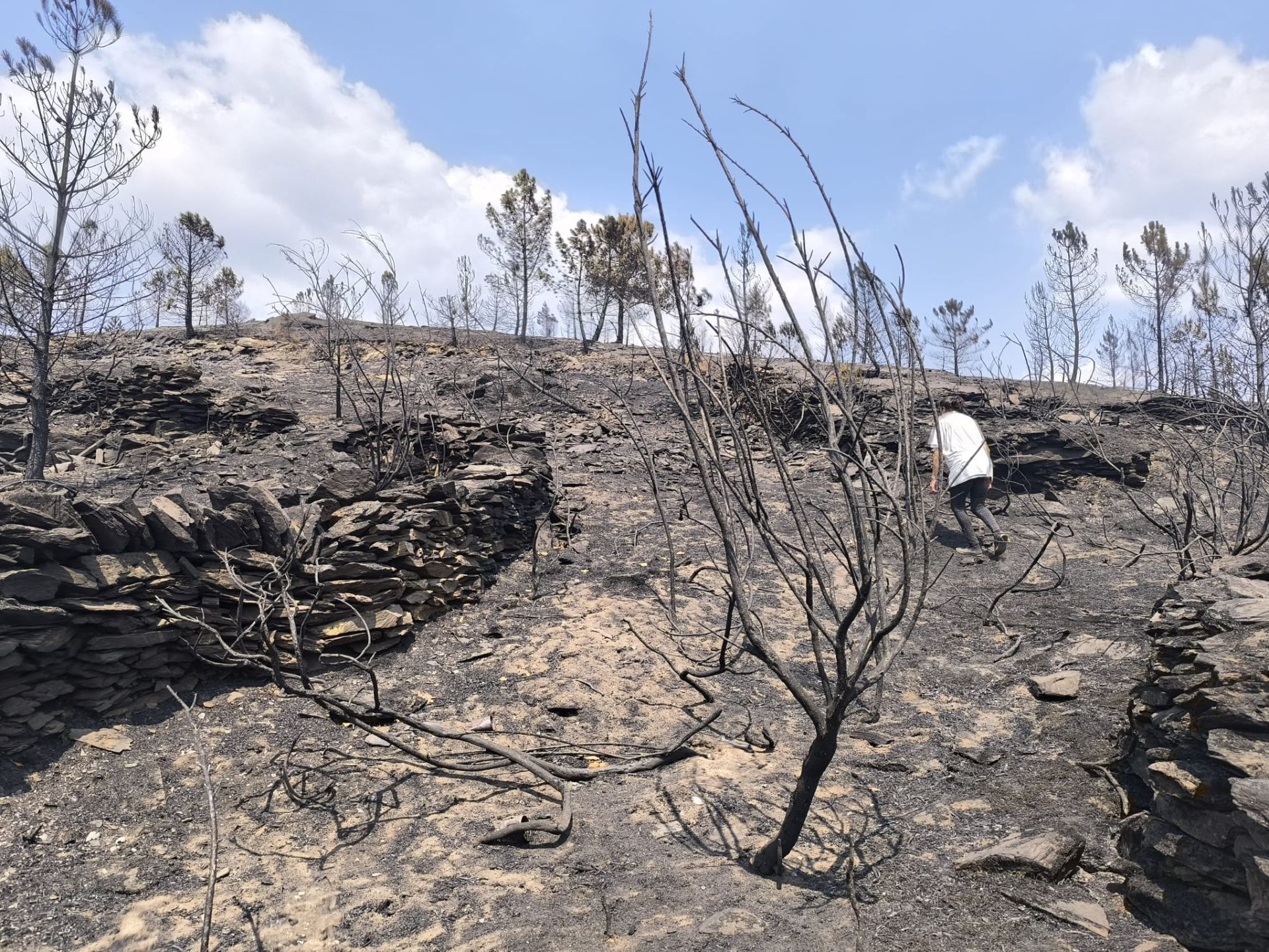 Las imágenes de la &#039;aldea vasca&#039; arrasada por el fuego en Ourense