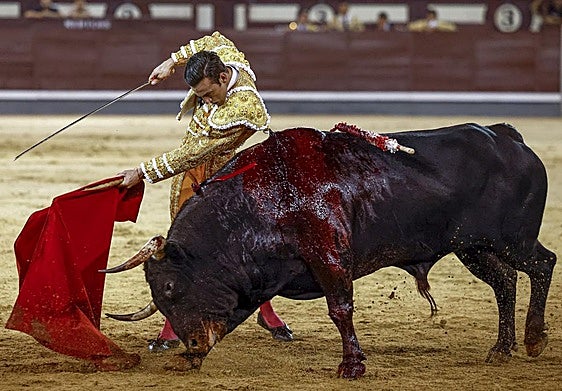 El diestro José Fernando Molina lidia un toro en la plaza de Toros de Las Ventas.