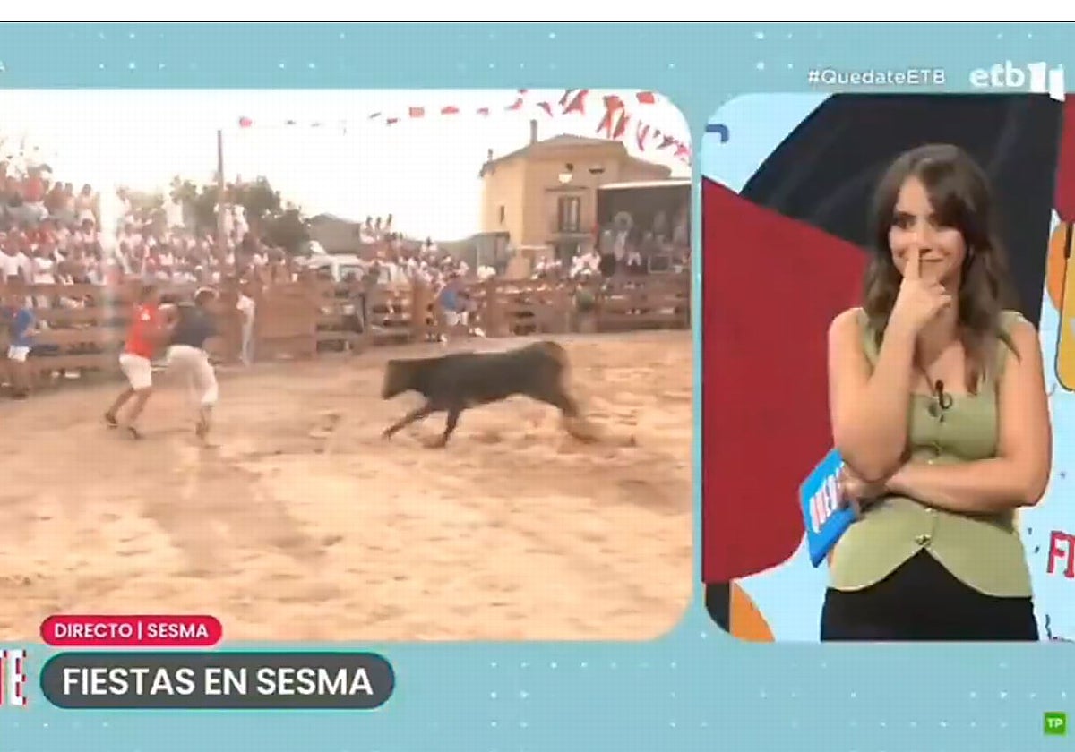 Una vaquilla embiste a un reportero de ETB en directo durante las fiestas de Sesma