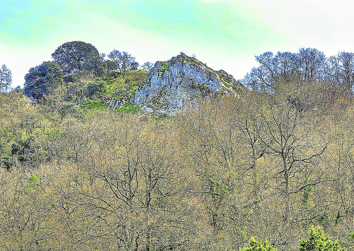 El peñasco que esconde la cueva se oculta de miradas indiscretas entre la espesura.