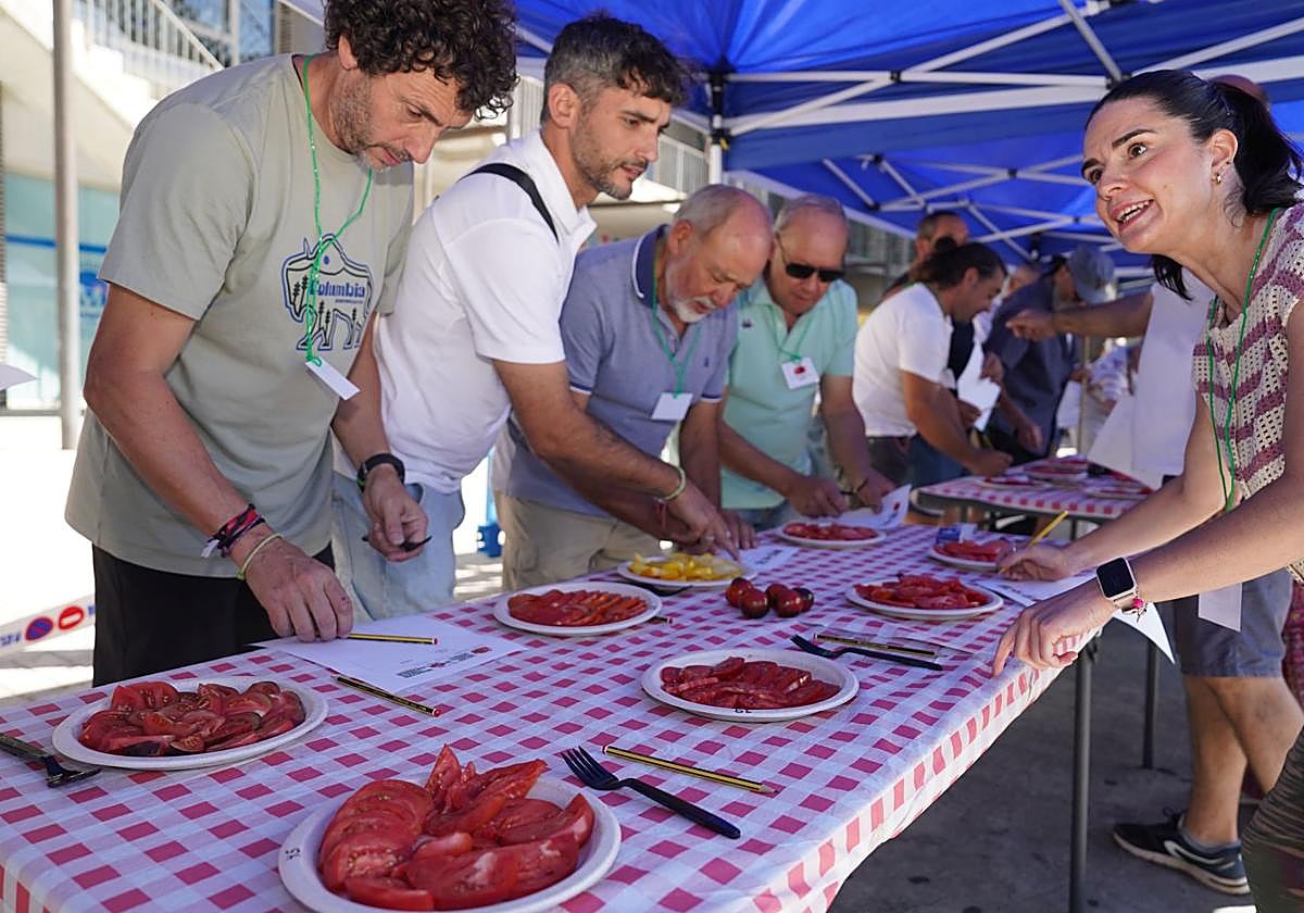 Muskiz elige su tomate más sabroso