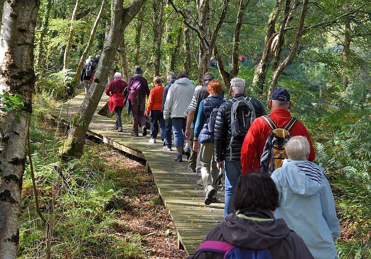 'Ibilbideak natur inguruetan' programa, 55 urte baino gehiagokoentzat