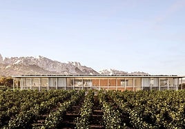 El campus del vino pide los permisos para su futura sede de Laguardia