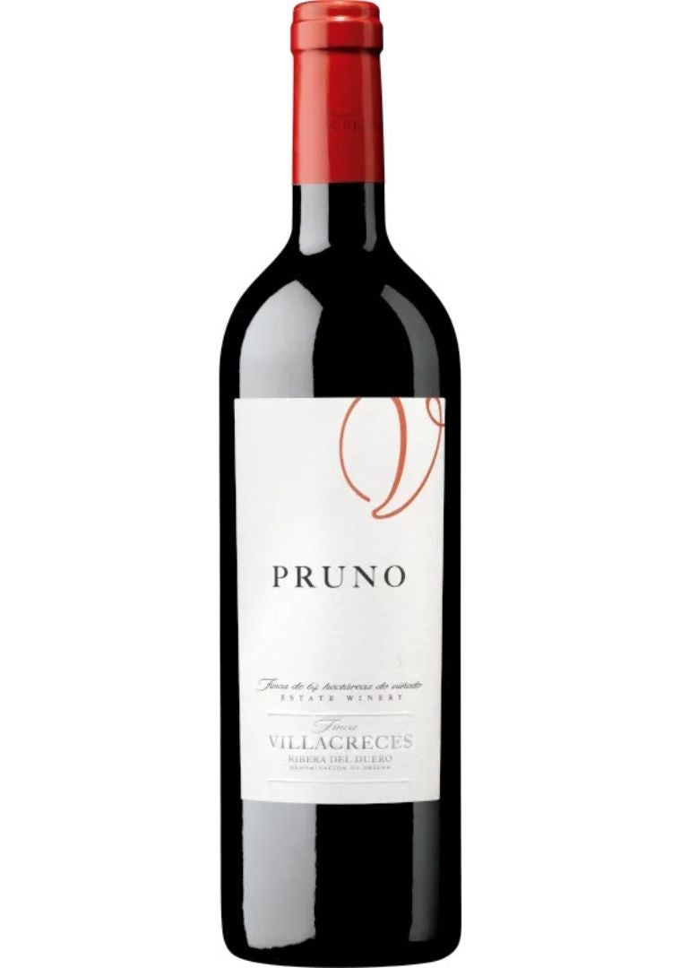 La protesta a favor de Palestina, en imágenes