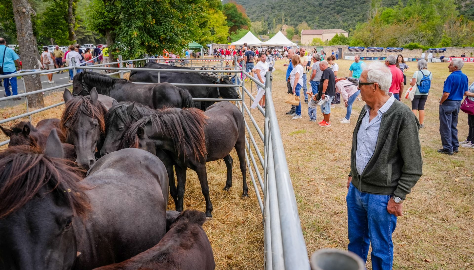 Las imágenes de la Feria de Angosto