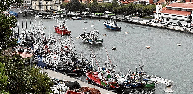 Los Consejos Municipales Portuarios abordarán planes de mejora y adaptación al cambio climático en puertos como el de Bermeo.