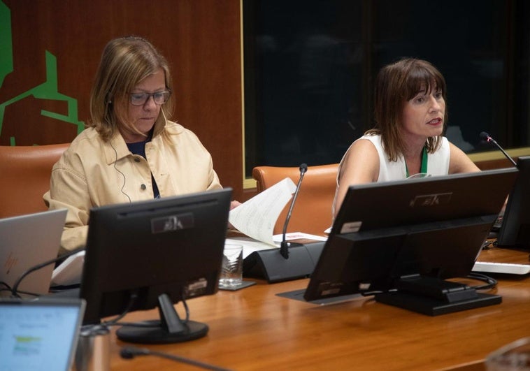 La presidenta de Eudel insta al Gobierno vasco a pensar en las clases medias para abordar el problema de la vivienda