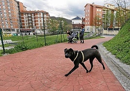 La ordenanza fue publicada en la página web municipal el pasado jueves 4 de septiembre.