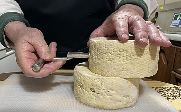 Lanza de cata. Aún está en proceso de maduración, pero valiéndose de una lanza de cata, nos brinda la oportunidad de probar un momento de eclosión en el interior del queso.