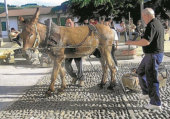 Las últimas asto probak tuvieron lugar el pasado agosto junto a la ermita de San Bartolomé. e. c.