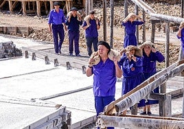 Salinas de Añana festeja el final de su cosecha