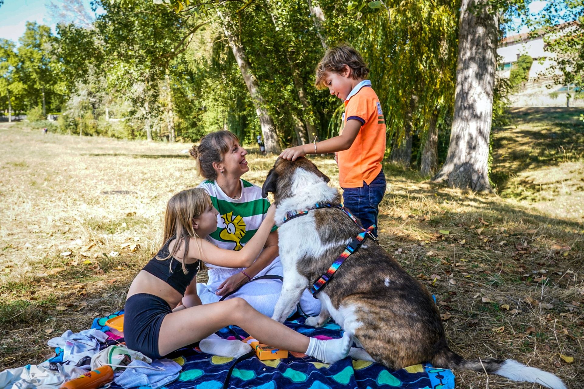 Álava despedirá el verano con máximas de 36 grados