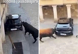 Dos toros destrozan un coche durante los encierros de una pequeña localidad de Gudalajara
