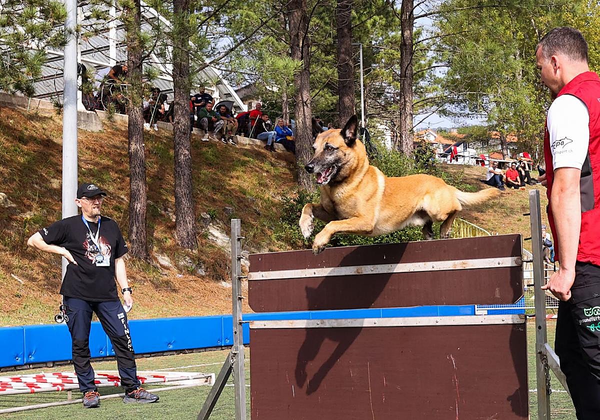 Vitoria se convierte en la capital de los mejores adiestradores de perros del mundo con desfiles y competiciones
