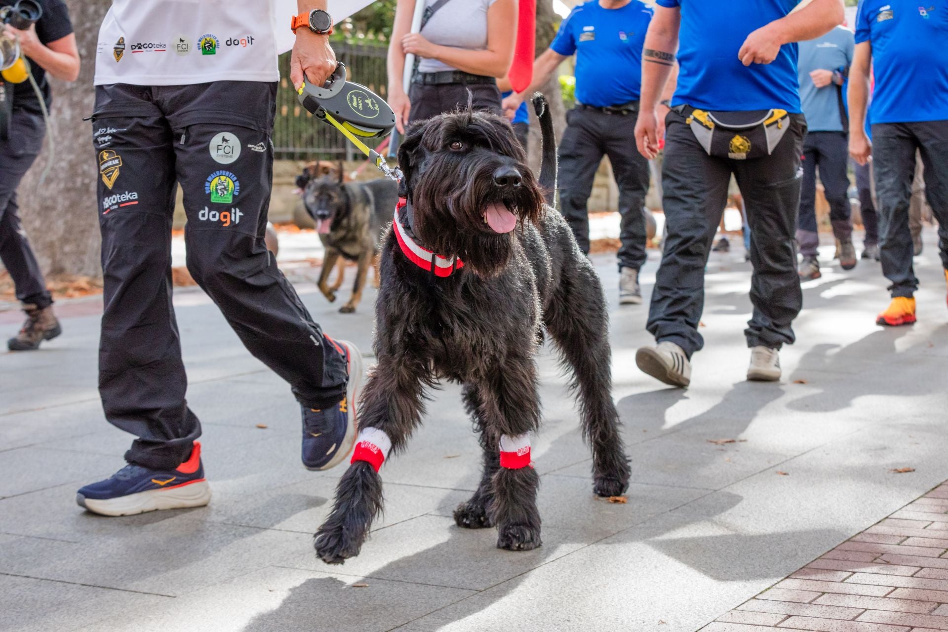 Las imágenes del Mundial canino en Vitoria
