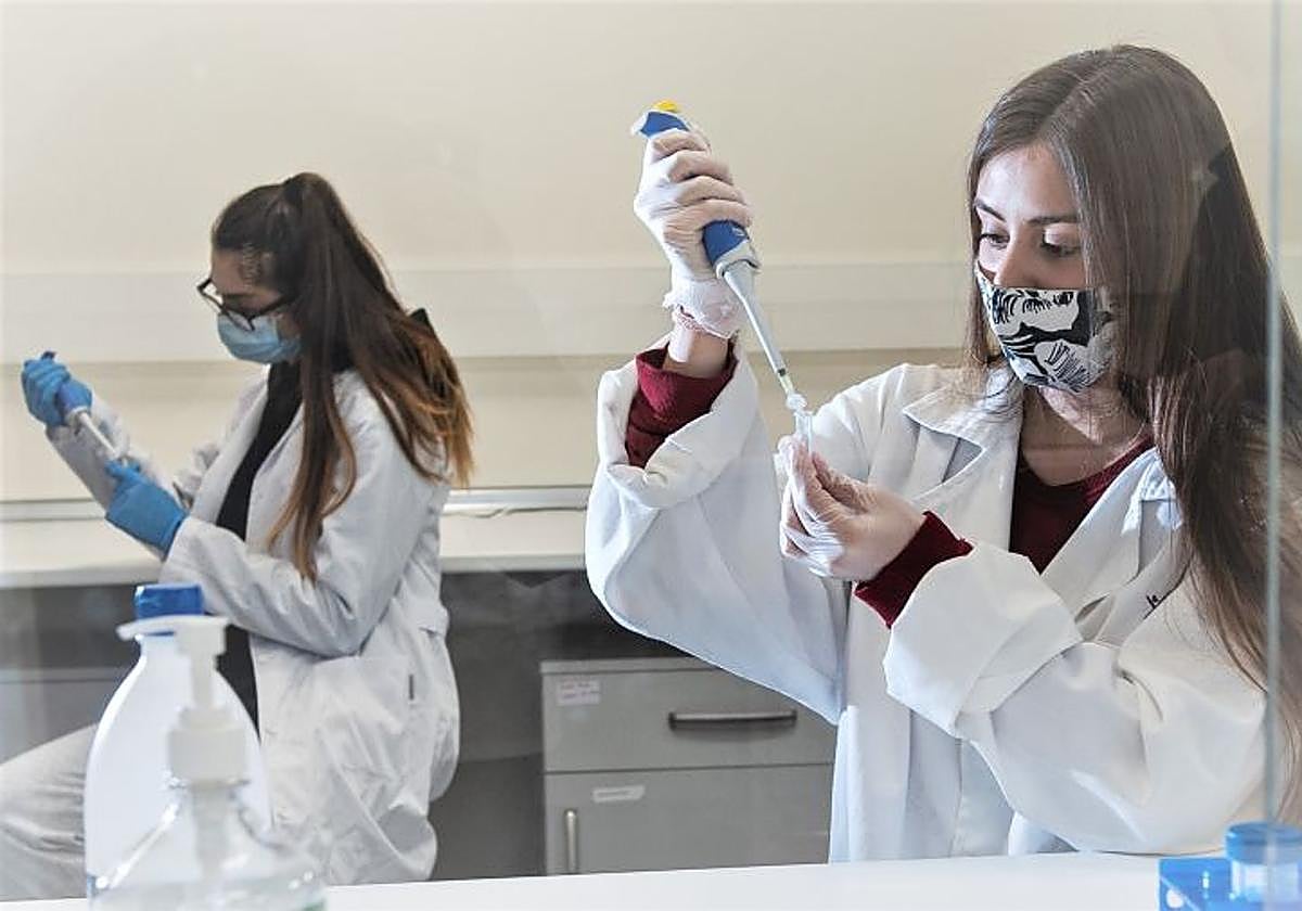 La Fundación Vital convoca 10 becas de FP para la innovación tecnológica