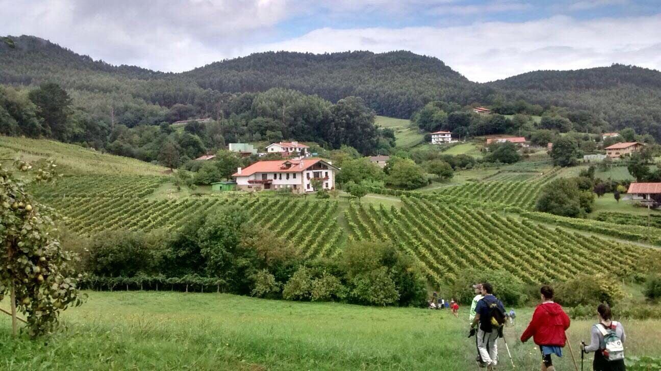 Senderistas transitan por una zona de viñedos y bosques en Bakio.