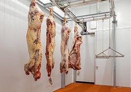 La filosofía de cerrar el ciclo se basa en aunar todos los procesos.