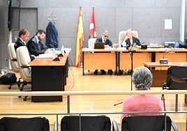 La Fiscalía pide la absolución de la enfermera 'antivacunas' de Santurtzi por su estado mental