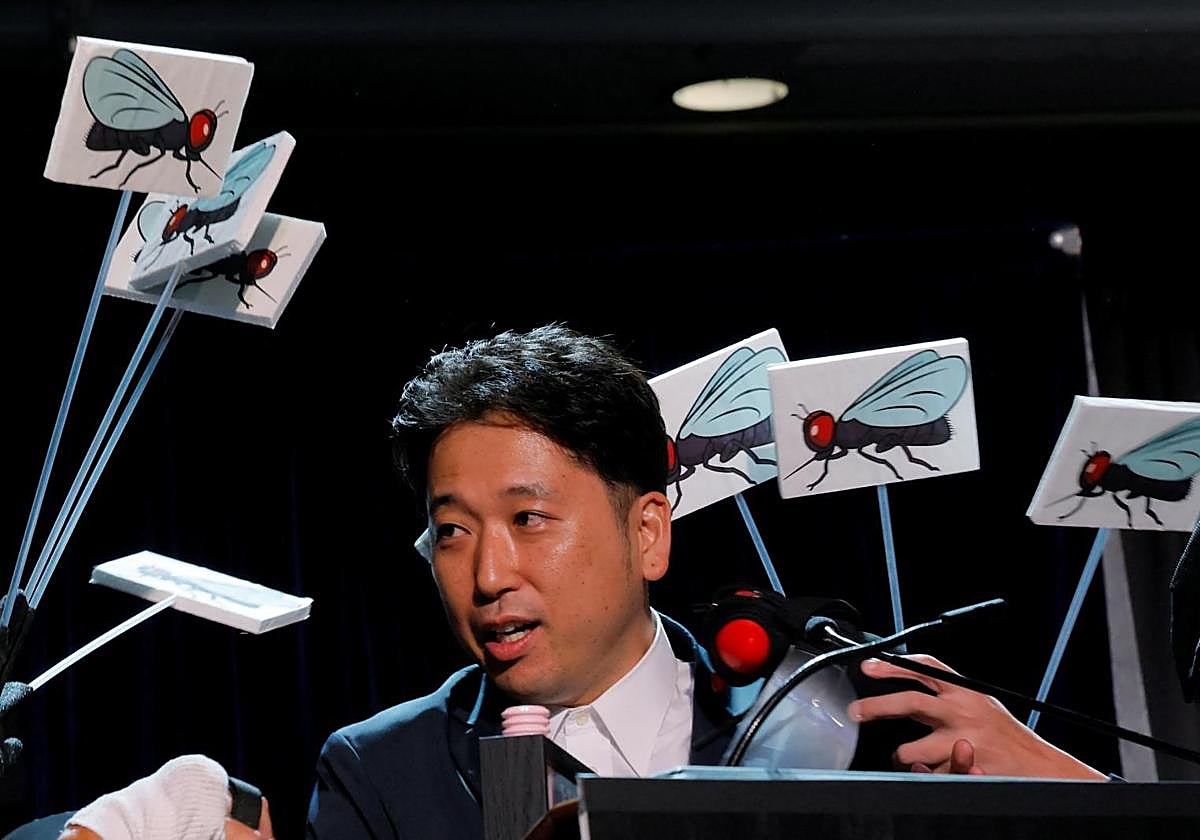 El investigador japonés que ha demostrado que las moscas no molestan a las cebras, recoge el premio.