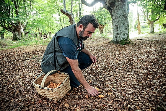 Nace en Álava el Parque Micológico más grande de Euskadi