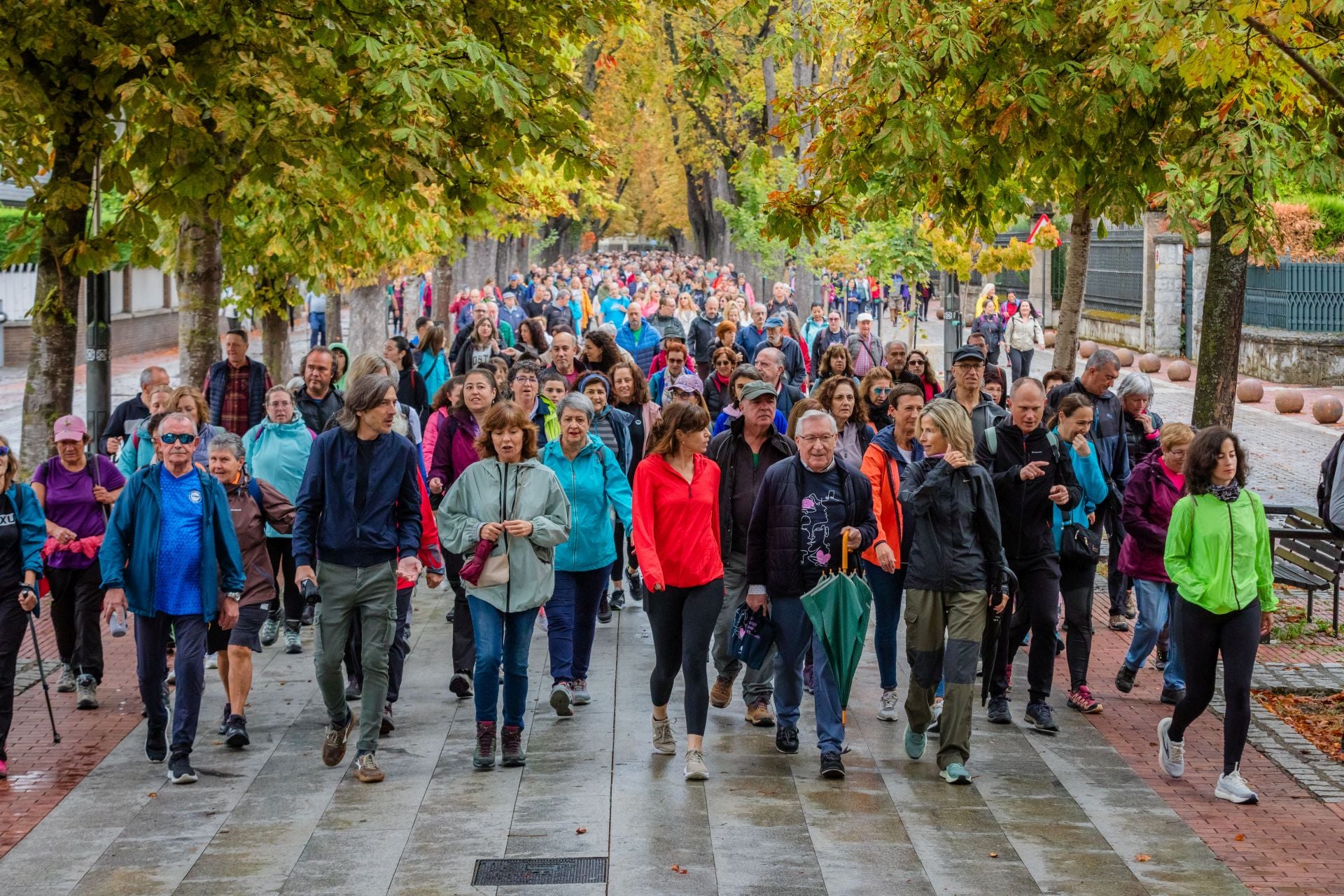 XII Marcha Solidaria Green de EL CORREO