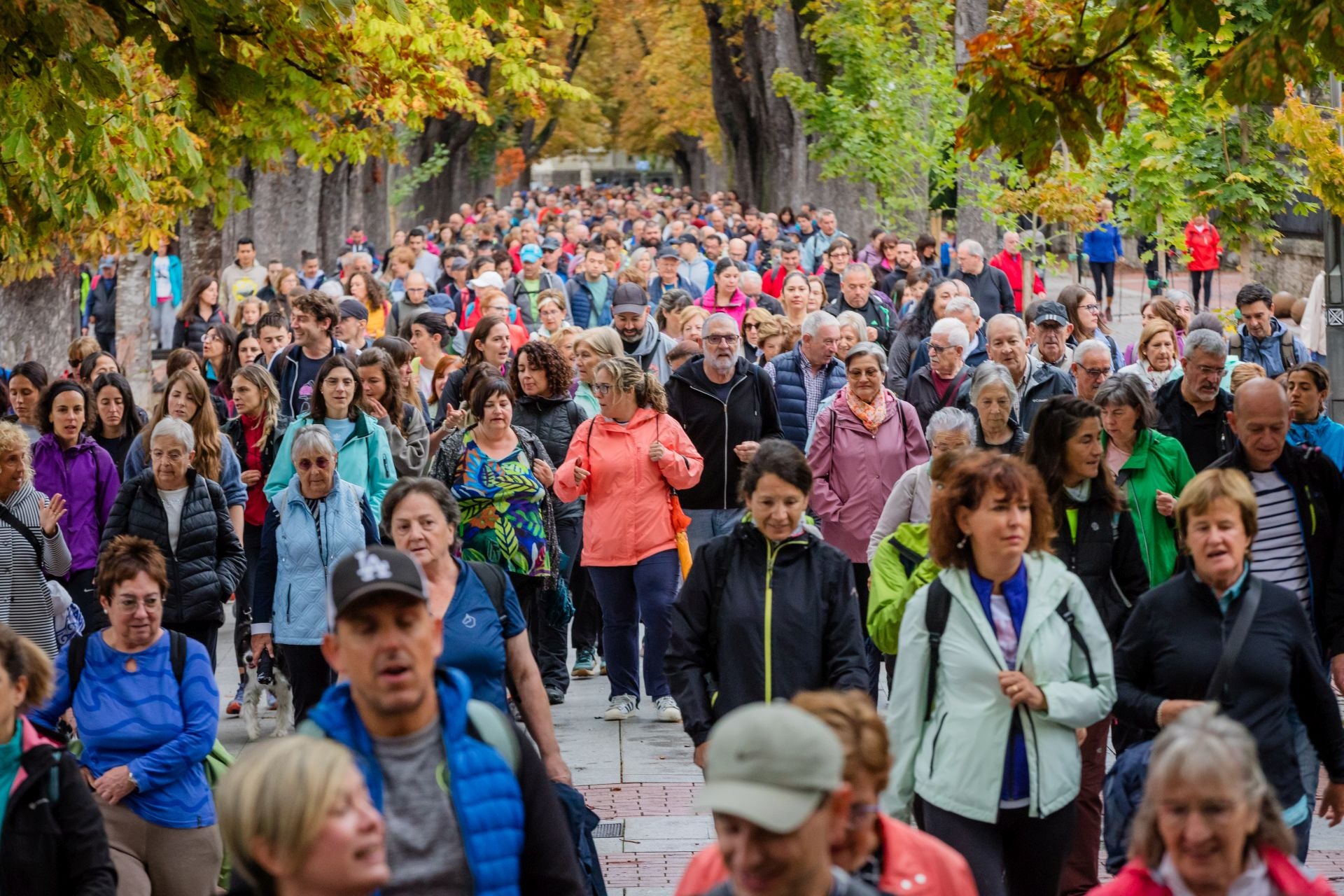 XII Marcha Solidaria Green de EL CORREO